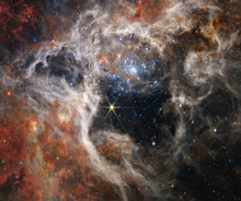 Load image into Gallery viewer, Building Your Astrology Practice: Capstone &amp; Certification — Semester 6
